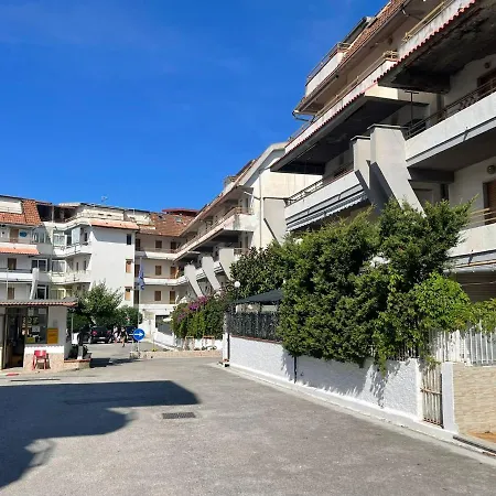 Brain - Parco Edil Blu * スカレア